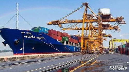 国内十大国际货运代理公司概览