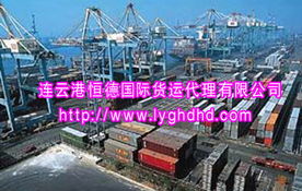 连云港货代公司如何赋能全球化物流链条——海外买家为什么信任这家口碑企业